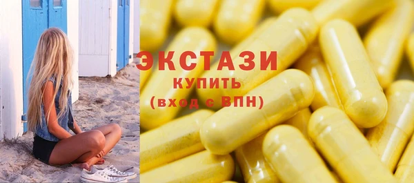 ECSTASY Бородино