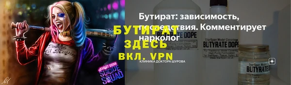 ECSTASY Бородино