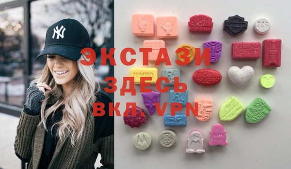 ECSTASY Бородино