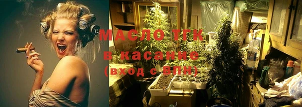 ECSTASY Бородино