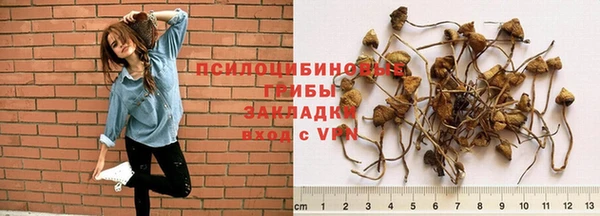 ECSTASY Бородино