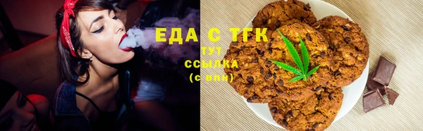 ECSTASY Бородино
