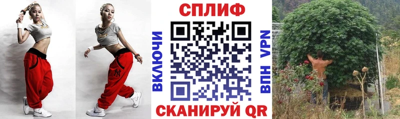 Бошки марихуана сатива  Константиновск 